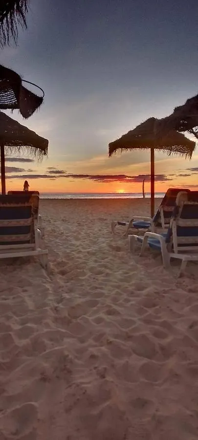Oasis Palmeira Santa Maria 0*,
